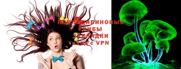ПСИЛОЦИБИНОВЫЕ ГРИБЫ Балахна