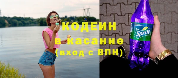 гидра Арсеньев