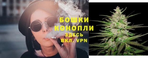 гидра Арсеньев