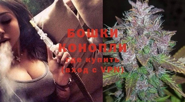 гидра Арсеньев