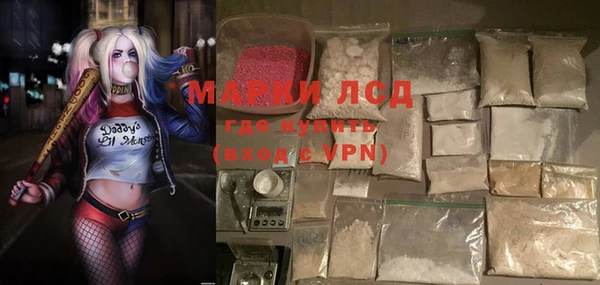ПСИЛОЦИБИНОВЫЕ ГРИБЫ Балахна