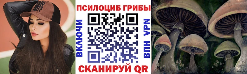 Галлюциногенные грибы прущие грибы Мышкин